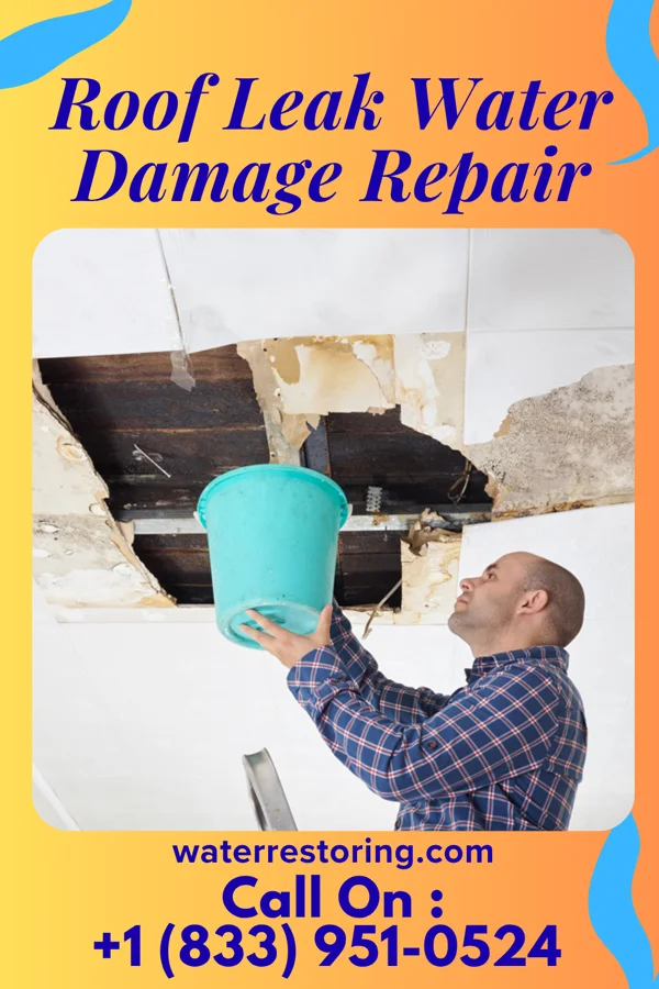 Roof Leak Water Damage Repair in East Mountain, TX